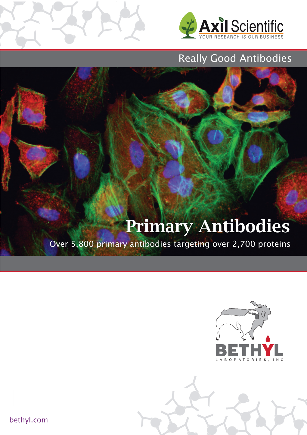 Primary Antibodies Over 5,800 Primary Antibodies Targeting Over 2,700 Proteins