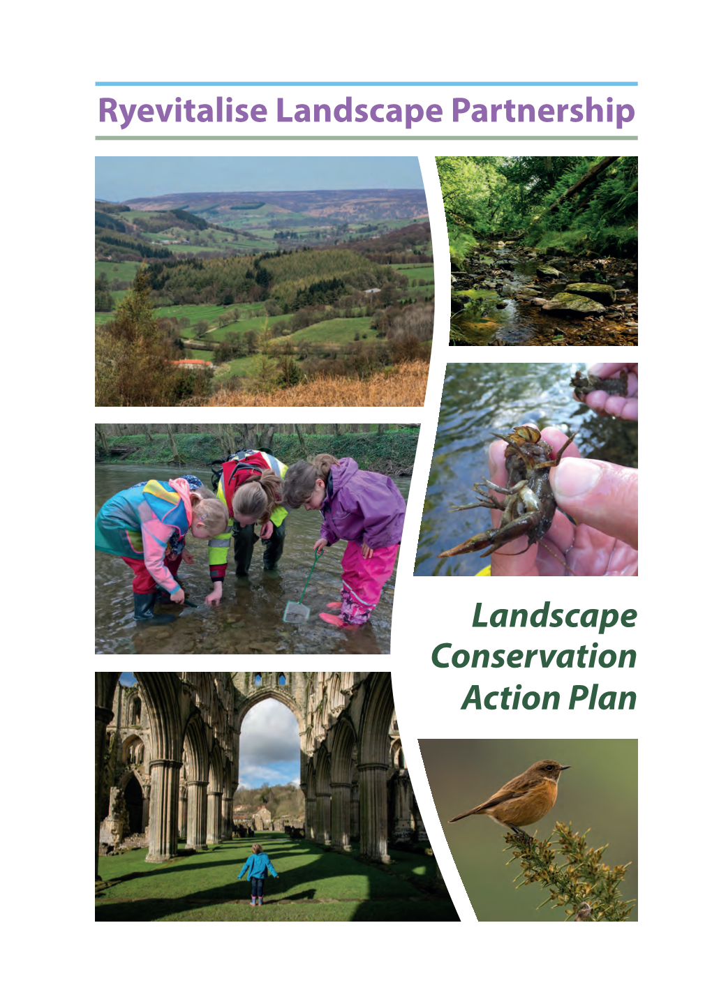 Landscape Conservation Action Plan