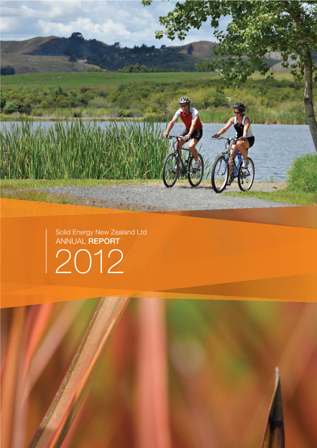 Solid Energy Annual Report 2012