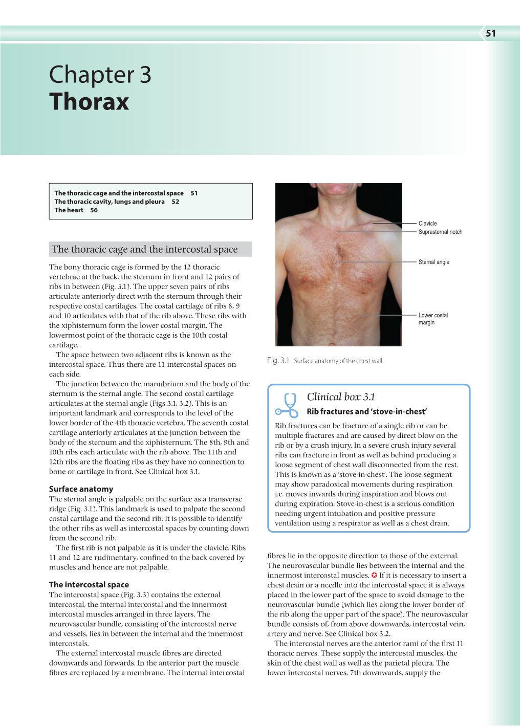 Chapter 3 Thorax