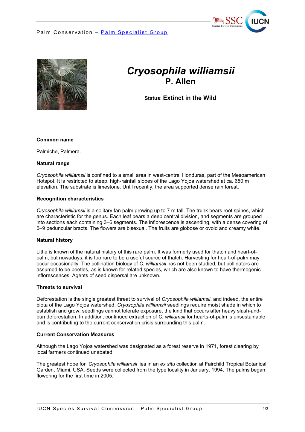 Cryosophila Williamsii Conservation Fact Sheet