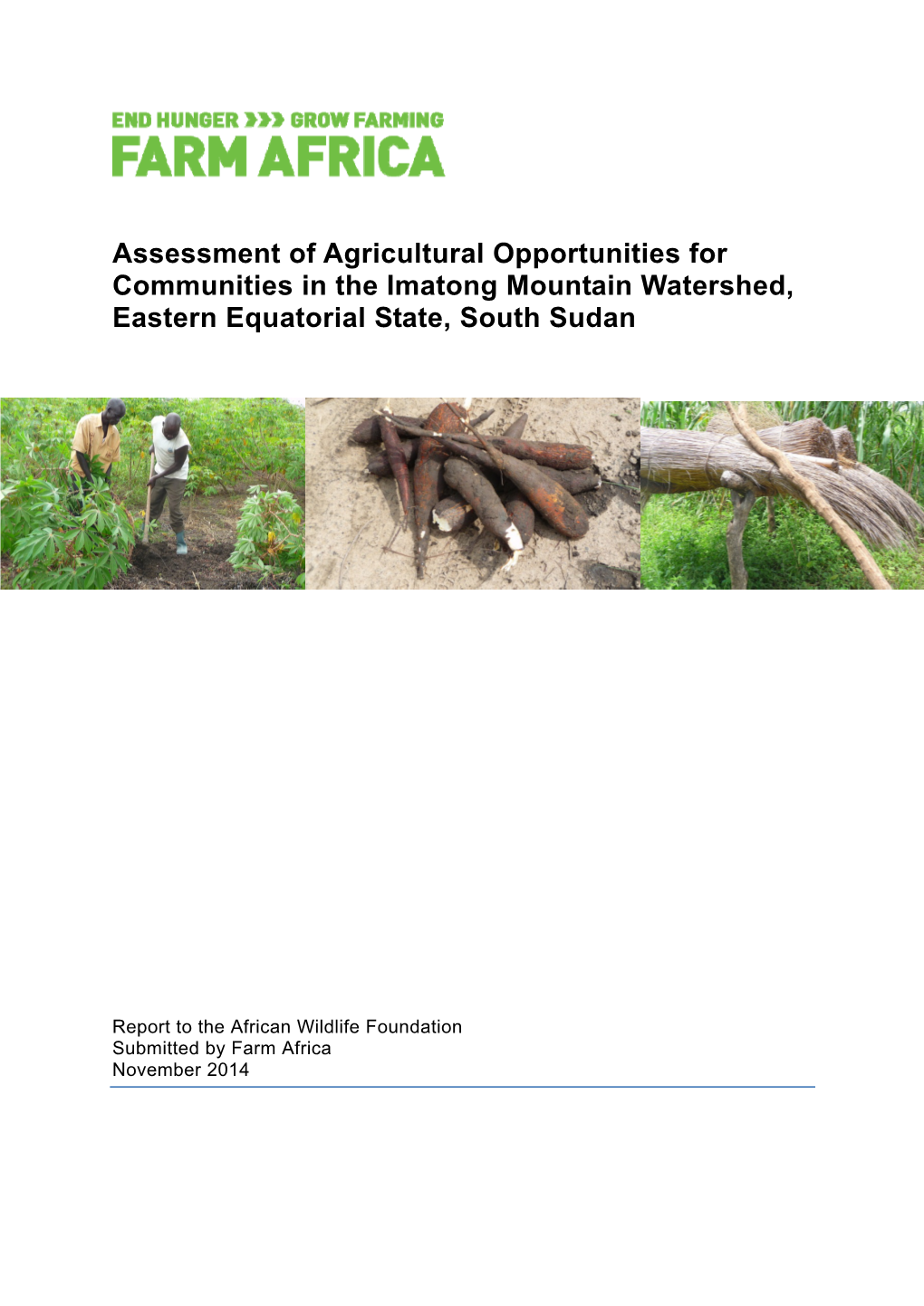 Assessment of Agricultural Opportunities for Communities in the Imatong Mountain Watershed, Eastern Equatorial State, South Sudan