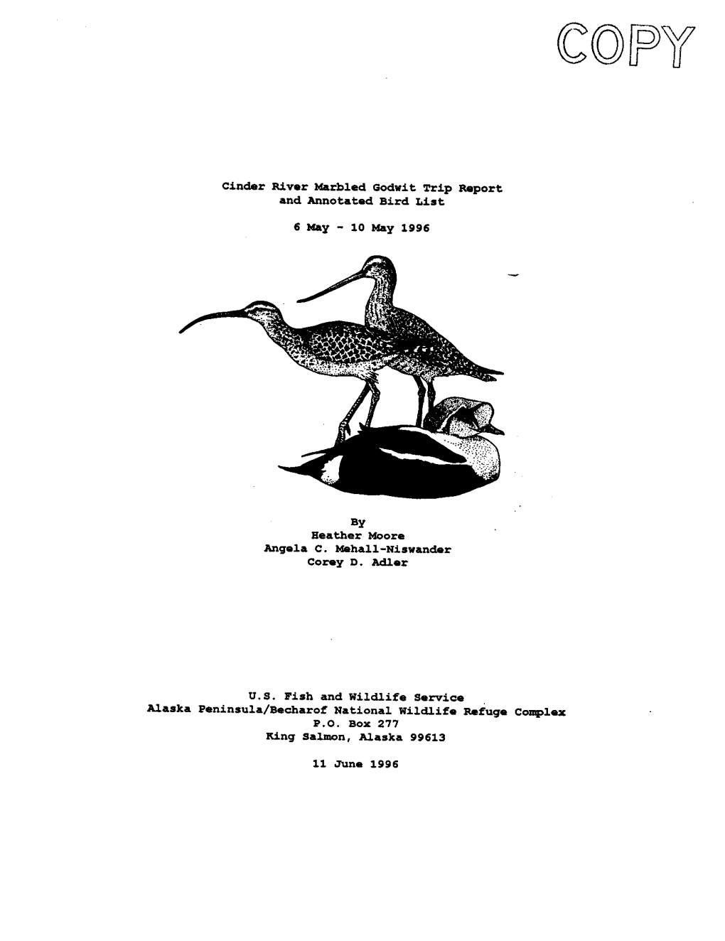Cinder River Marbled Godwit Trip Report and Annotated Bird List 6 May - 10 May 1996