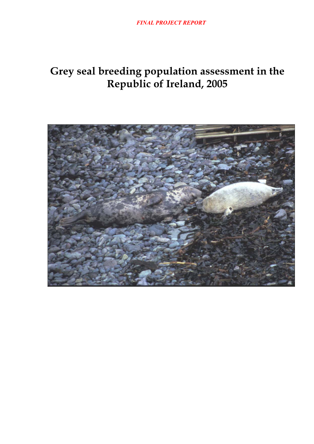 Grey Seal Breeding Population Assessment in the Republic of Ireland, 2005