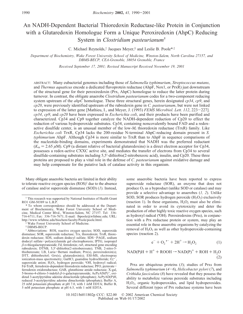 An NADH-Dependent Bacterial Thioredoxin Reductase-Like Protein