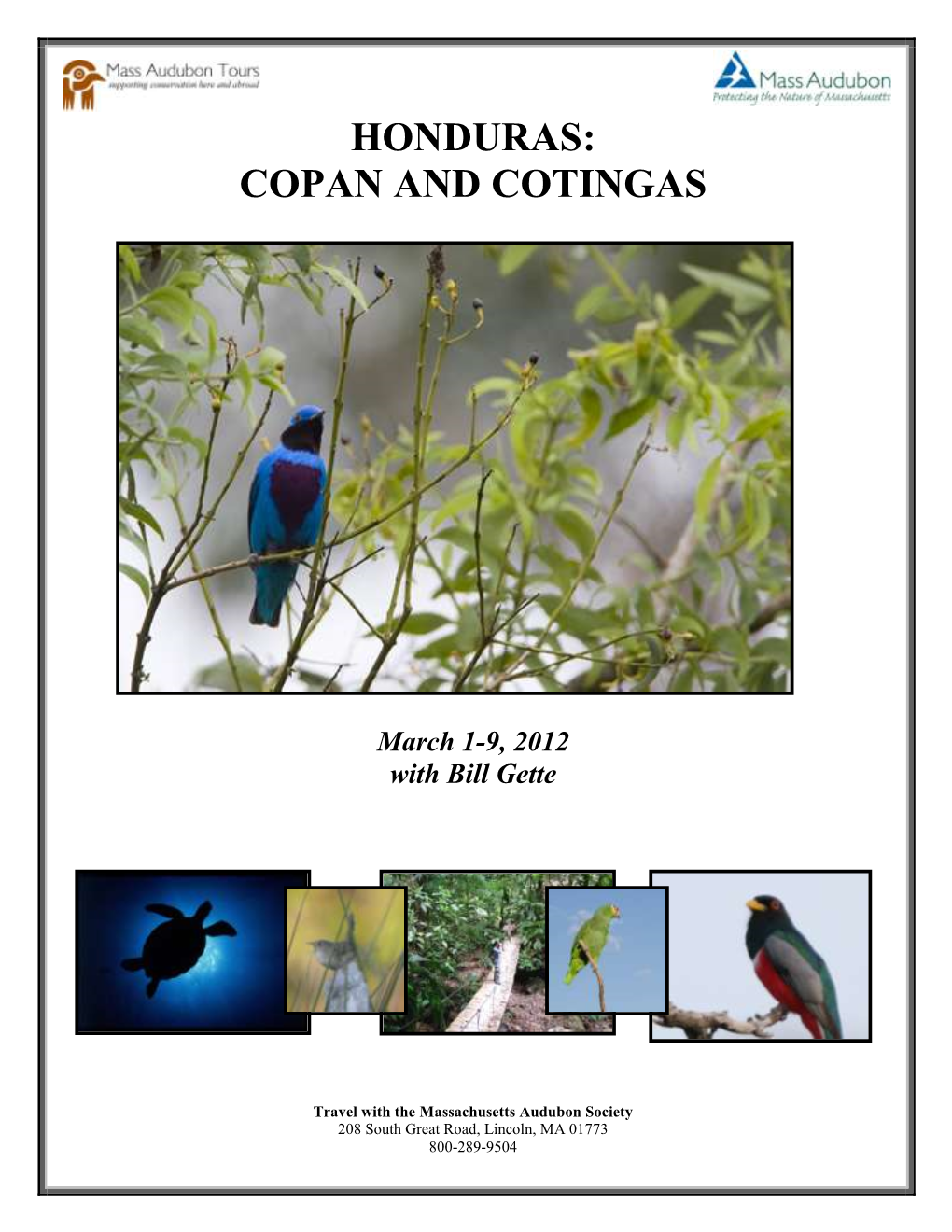 Honduras: Copan and Cotingas