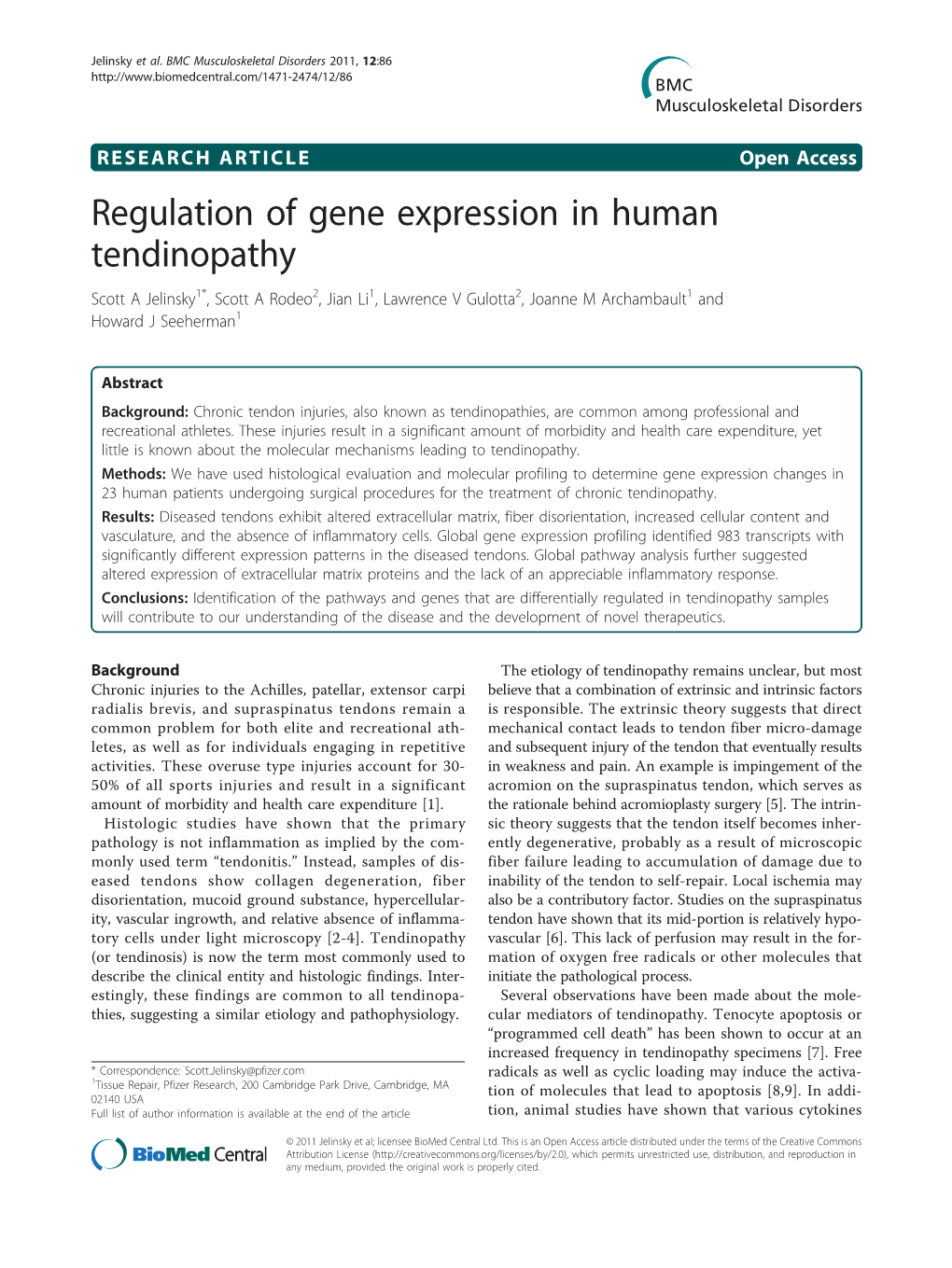 Regulation of Gene Expression in Human Tendinopathy Scott a Jelinsky1*, Scott a Rodeo2, Jian Li1, Lawrence V Gulotta2, Joanne M Archambault1 and Howard J Seeherman1