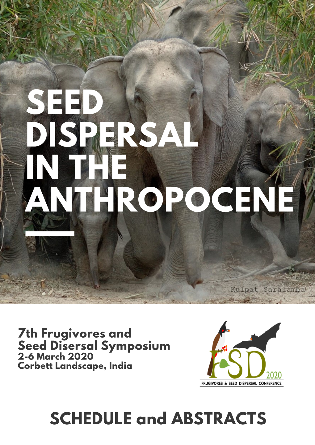 Seed Dispersal in the Anthropocene