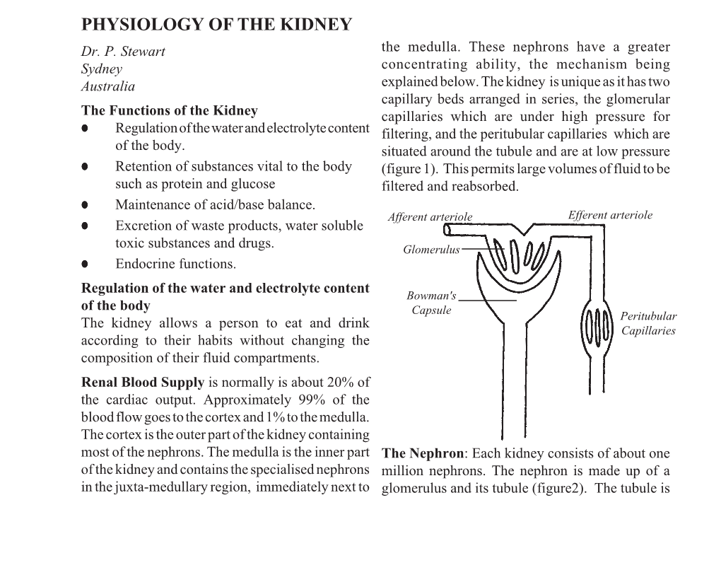 PHYSIOLOGY of the KIDNEY Dr