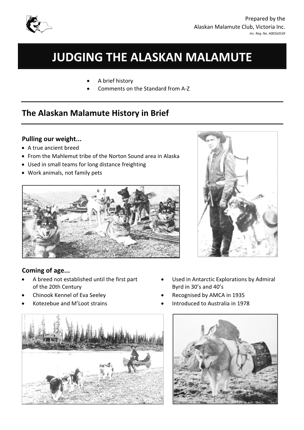 Judging the Alaskan Malamute