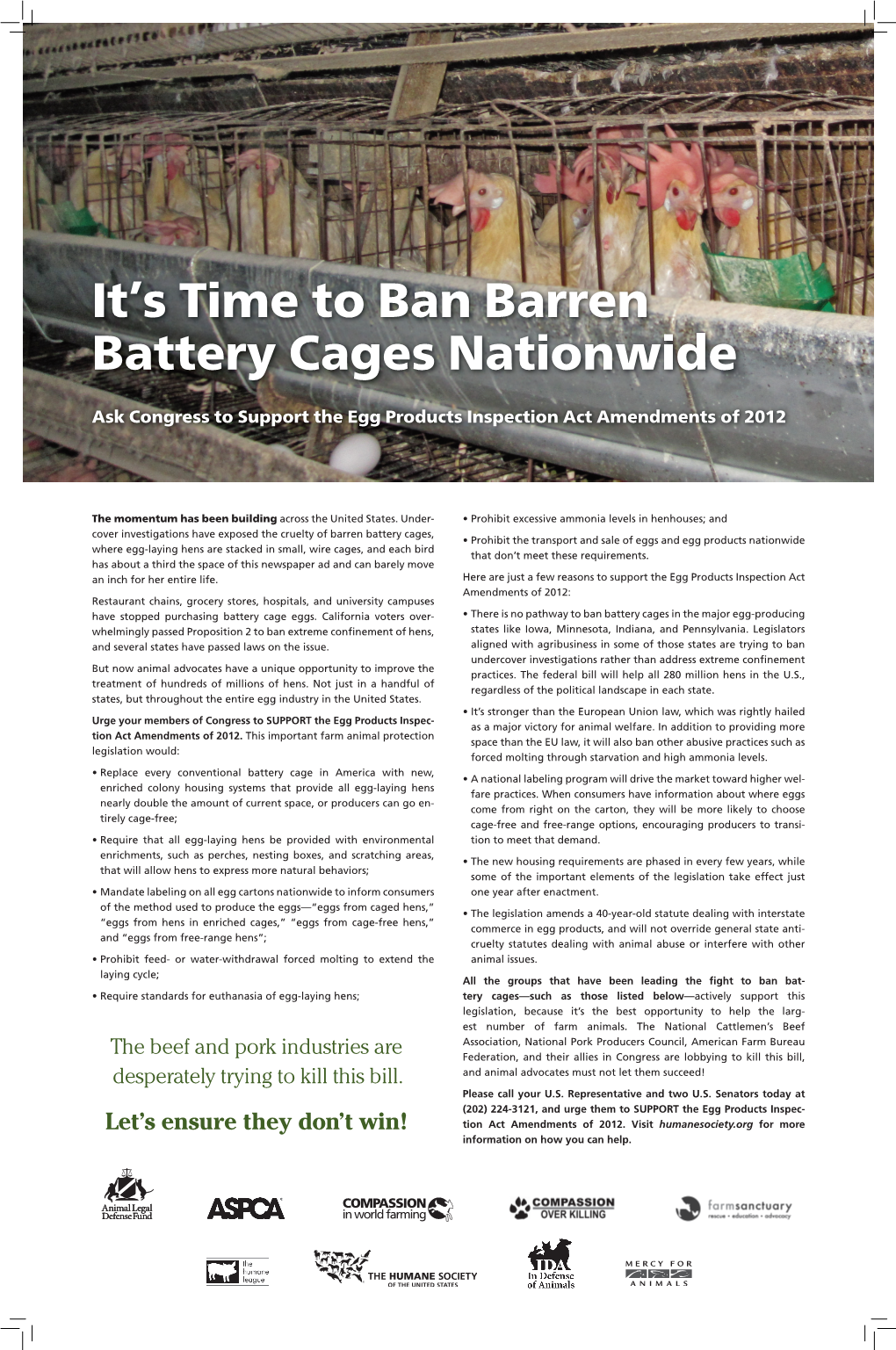 It's Time to Ban Barren Battery Cages Nationwide