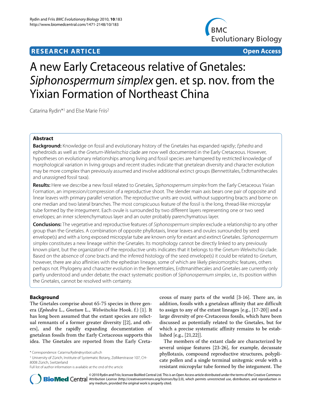 A New Early Cretaceous Relative of Gnetales