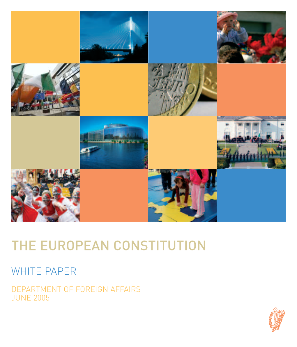 White Paper on the European Constitution