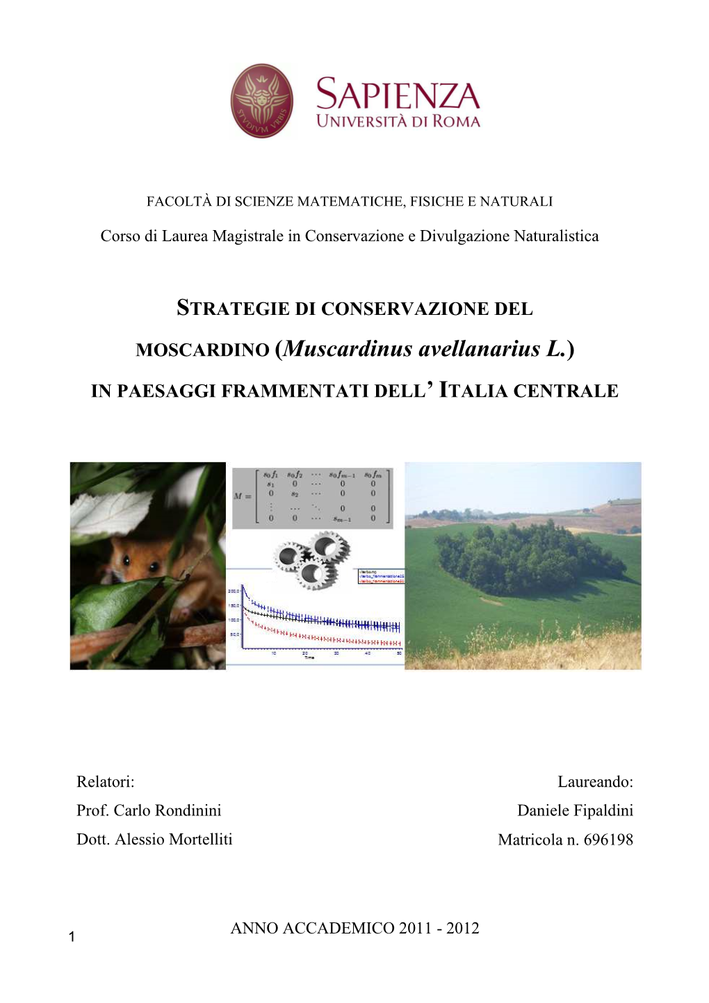 Strategie Di Conservazione Del Moscardino (Muscardinus Avellanarius L.) in Paesaggi Frammentati Dell'italia Centrale