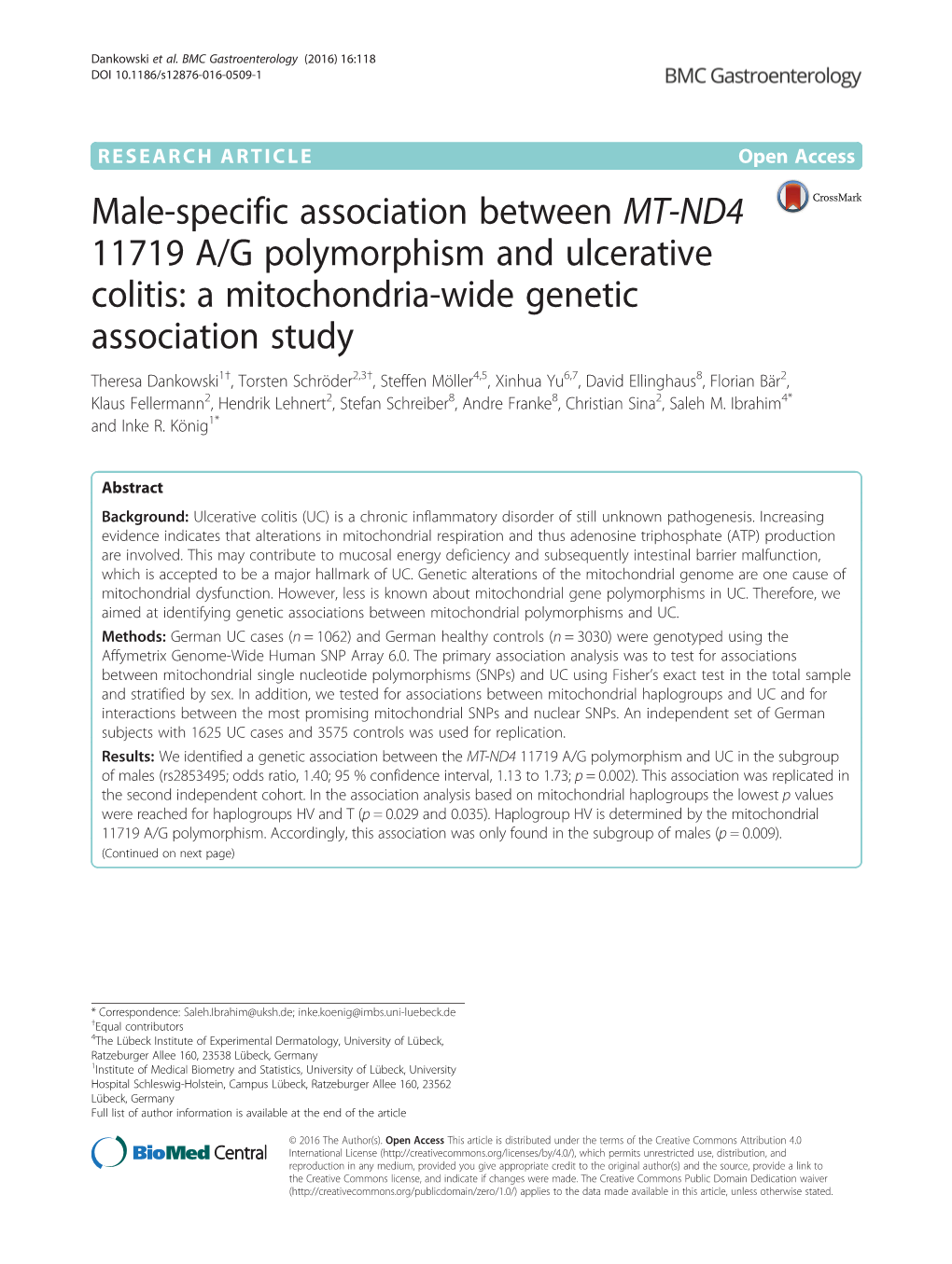 Male-Specific Association Between MT-ND4 11719 A/G Polymorphism And