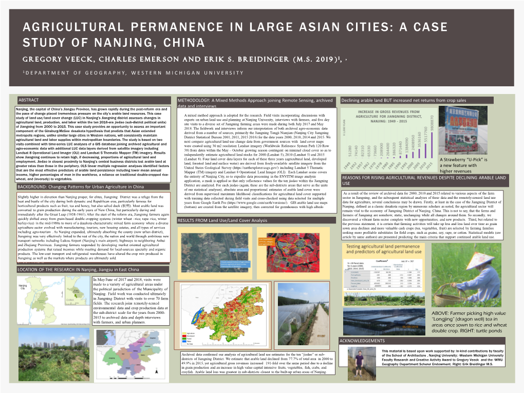 A Case Study of Nanjing, China