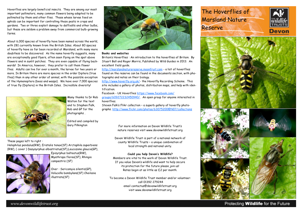 Hoverflies Leaflet