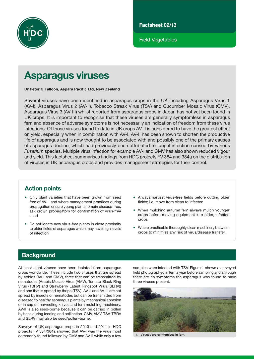 Asparagus Viruses