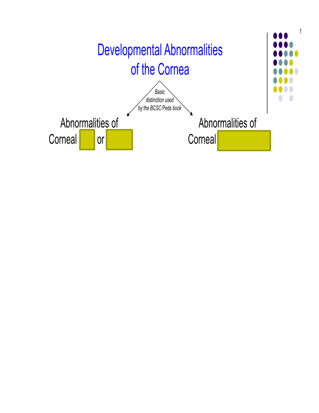 Developmental Abnormalities of the Cornea