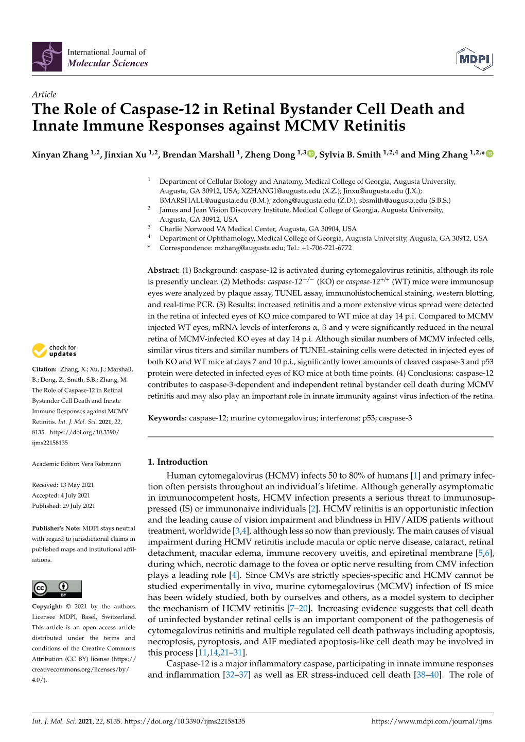 The Role of Caspase-12 in Retinal Bystander Cell Death and Innate Immune Responses Against MCMV Retinitis