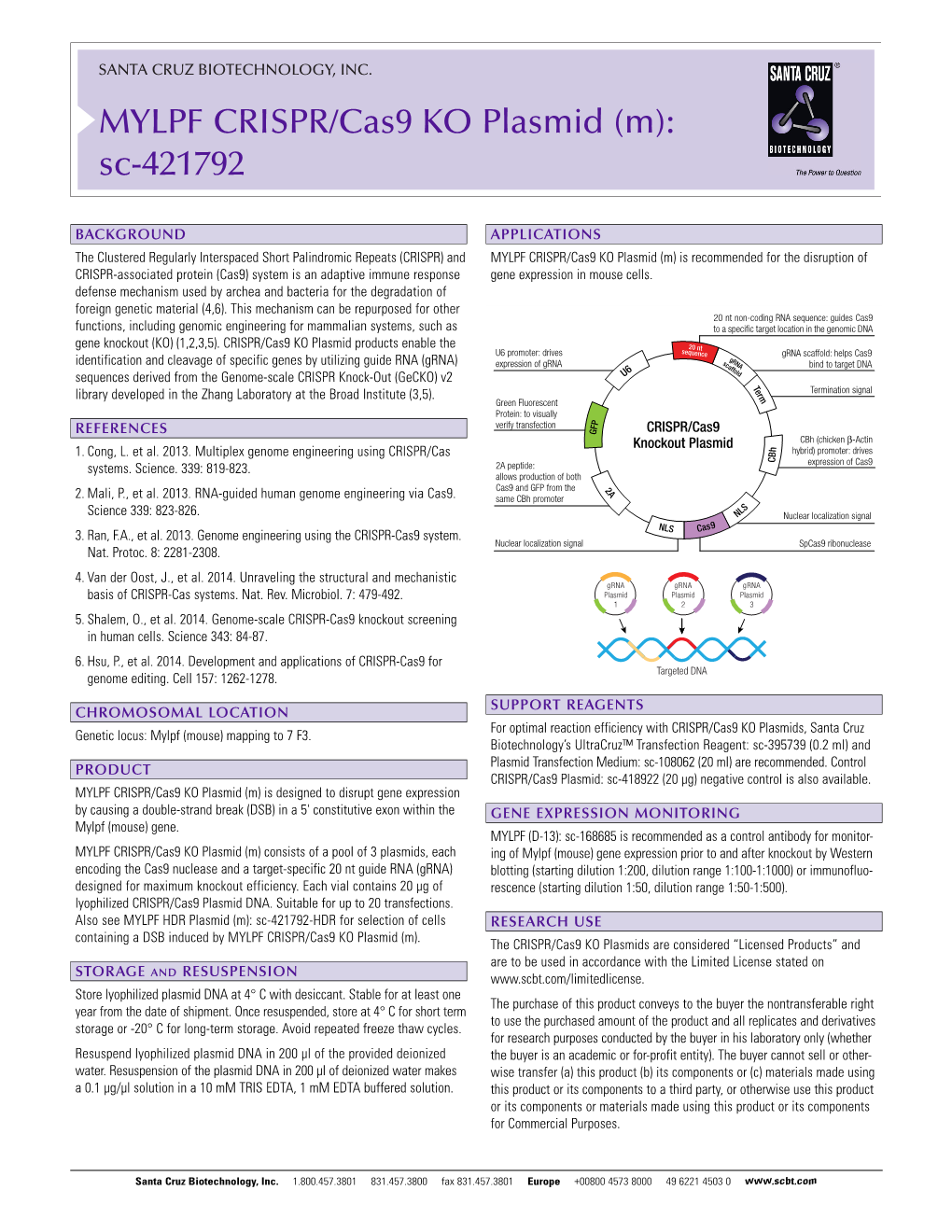 MYLPF CRISPR/Cas9 KO Plasmid (M): Sc-421792