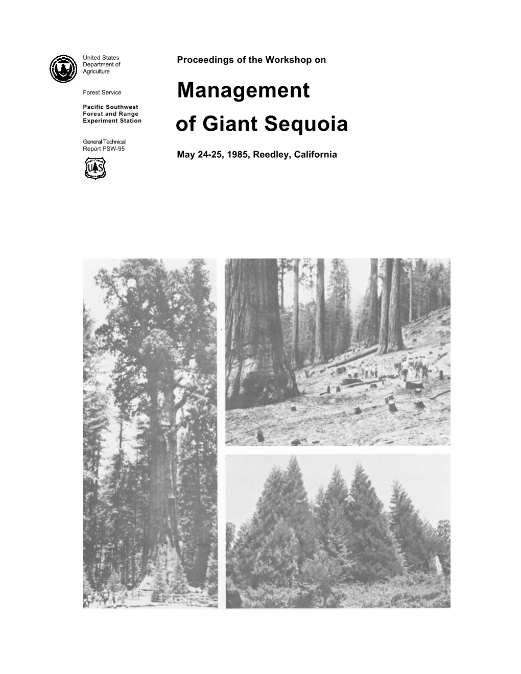 Of Giant Sequoia