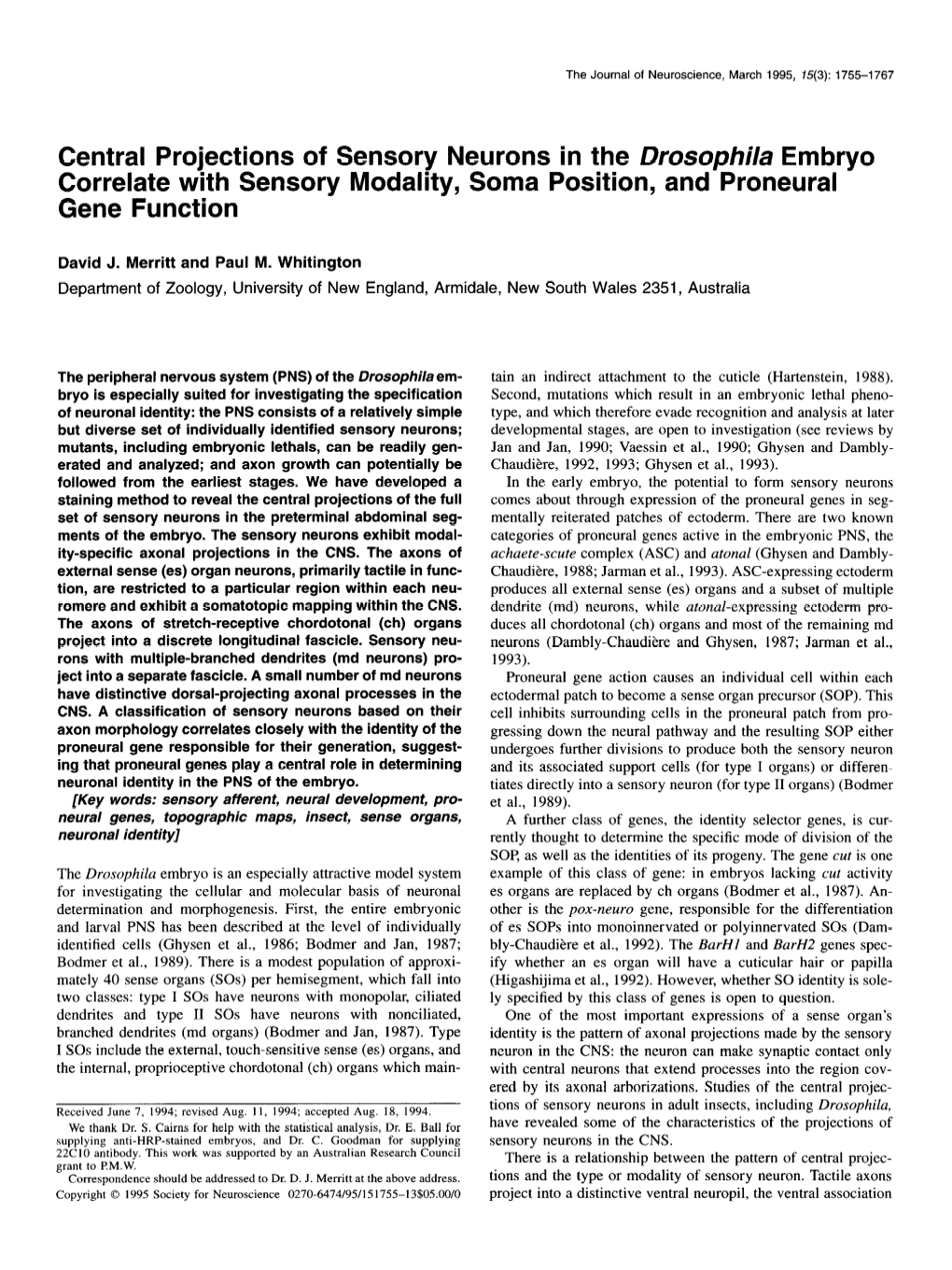 Central Projections of Sensory Neurons in the Drosophila Embryo Correlate with Sensory Modality, Soma Position, and Proneural Gene Function