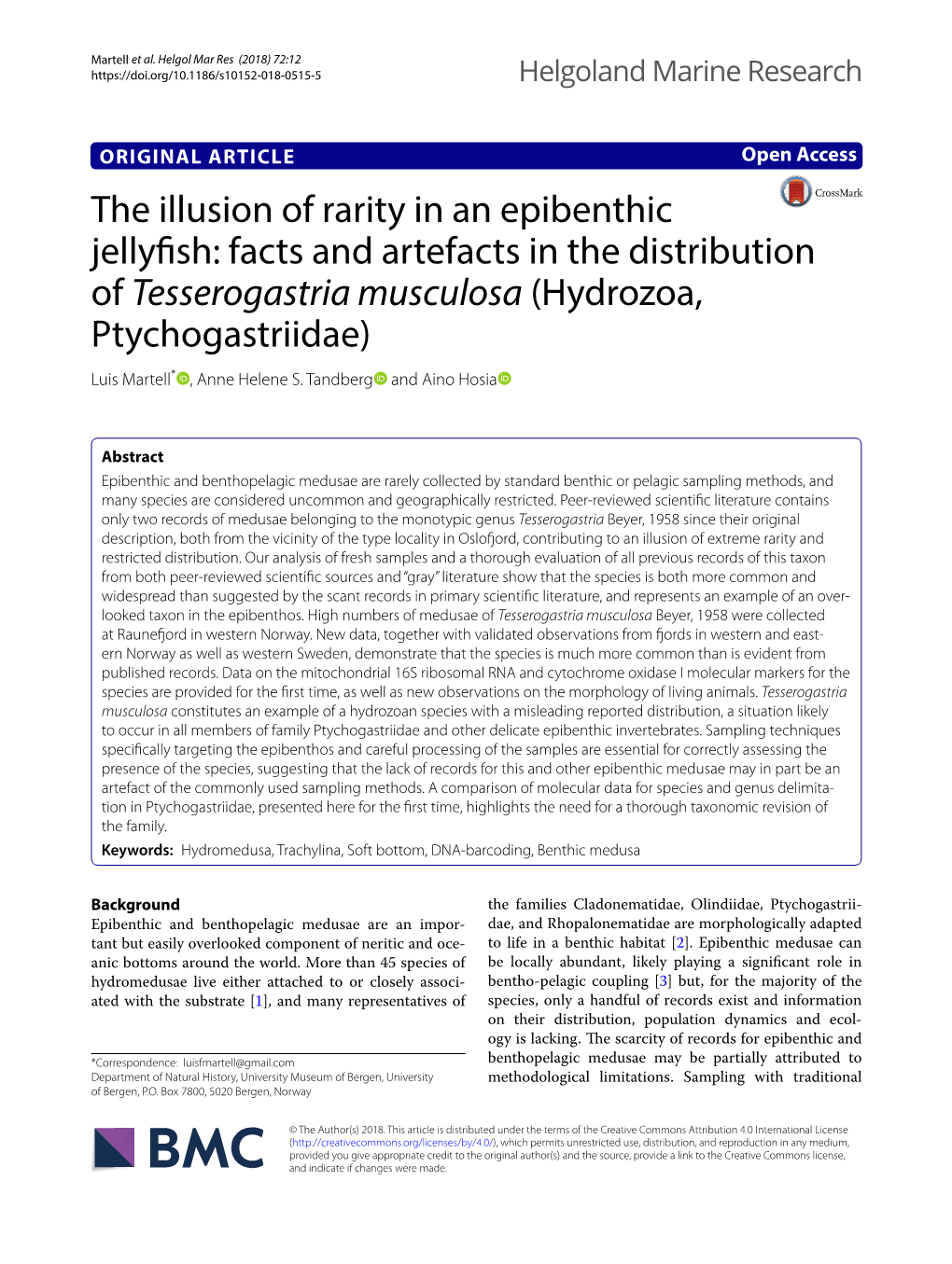 The Illusion of Rarity in an Epibenthic Jellyfish: Facts and Artefacts in The
