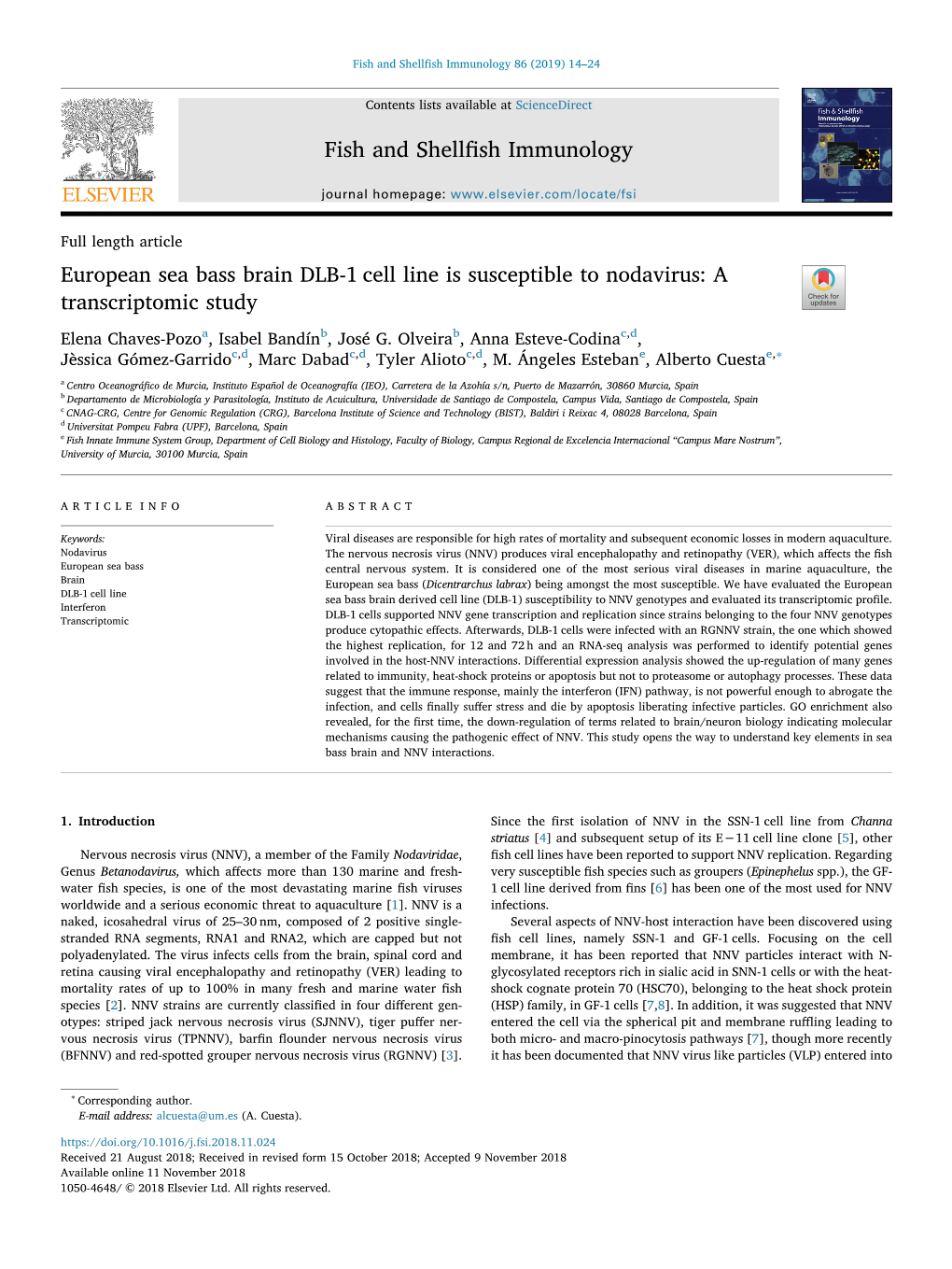 European Sea Bass Brain DLB-1 Cell Line Is Susceptible to Nodavirus A