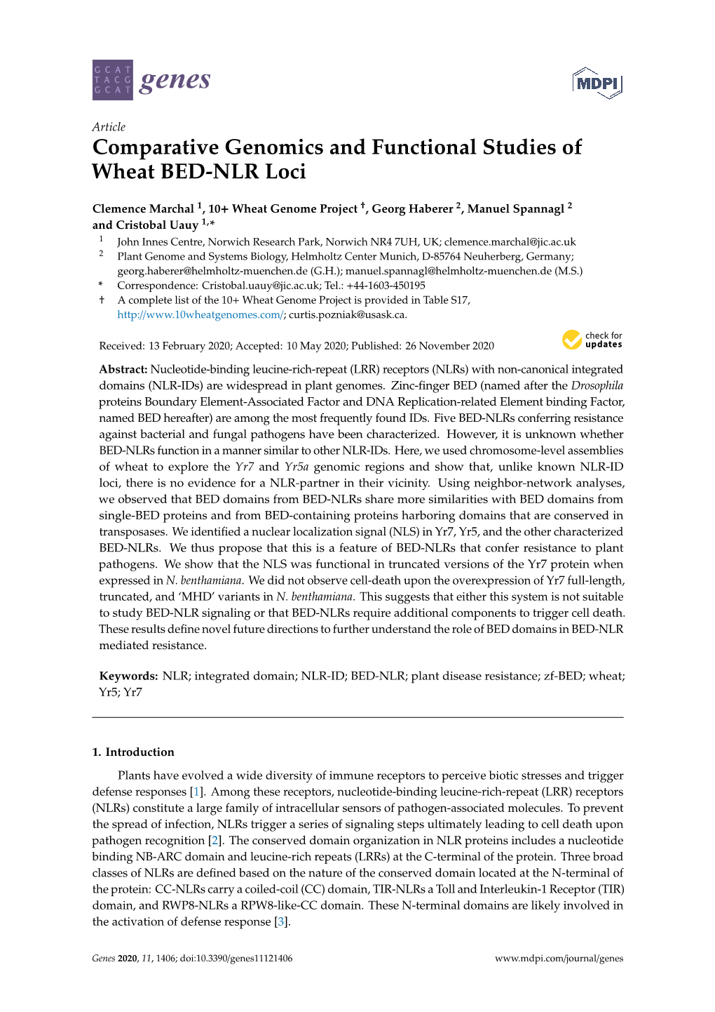 Comparative Genomics and Functional Studies of Wheat BED-NLR Loci