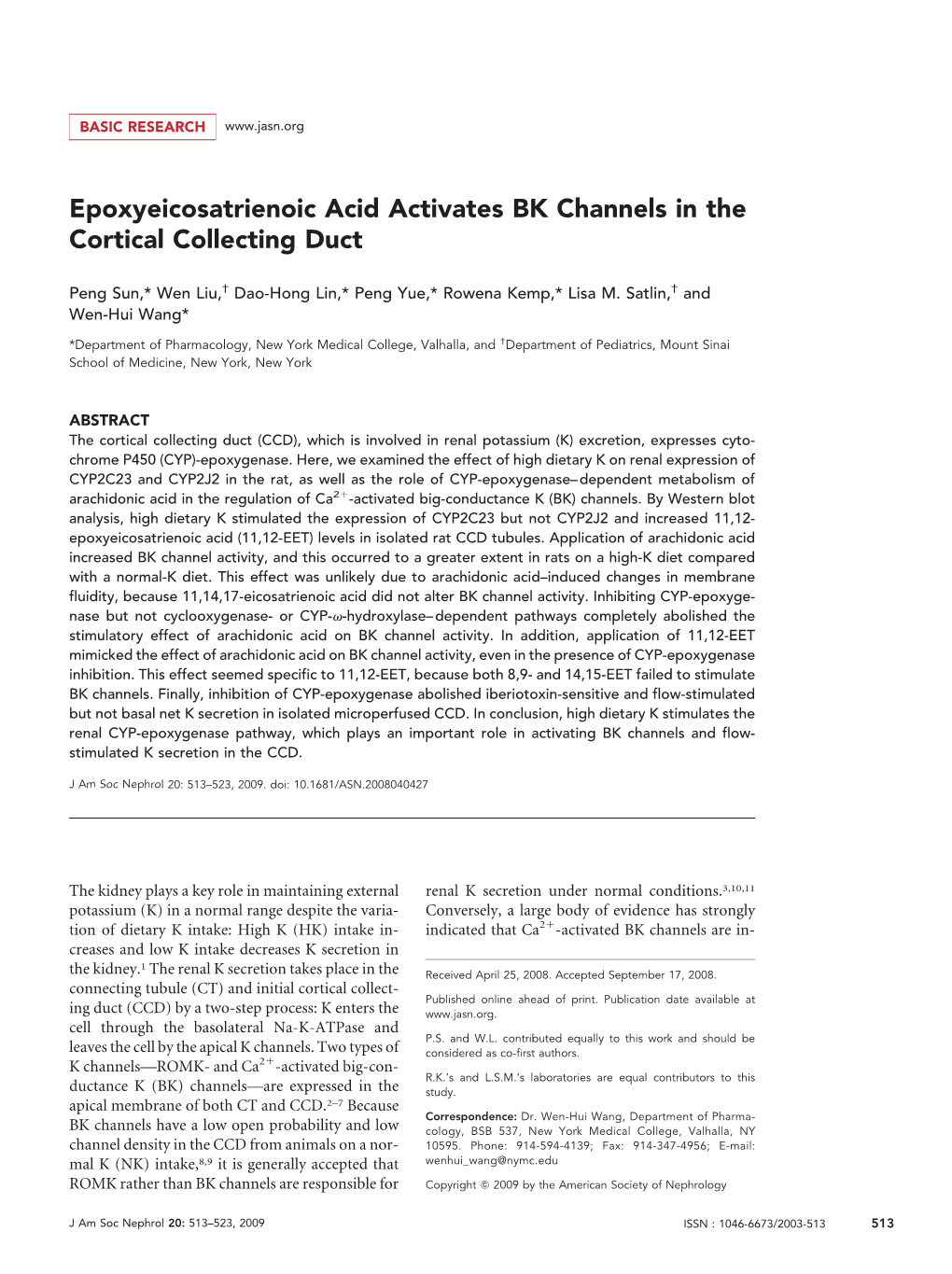 Epoxyeicosatrienoic Acid Activates BK Channels in the Cortical Collecting Duct