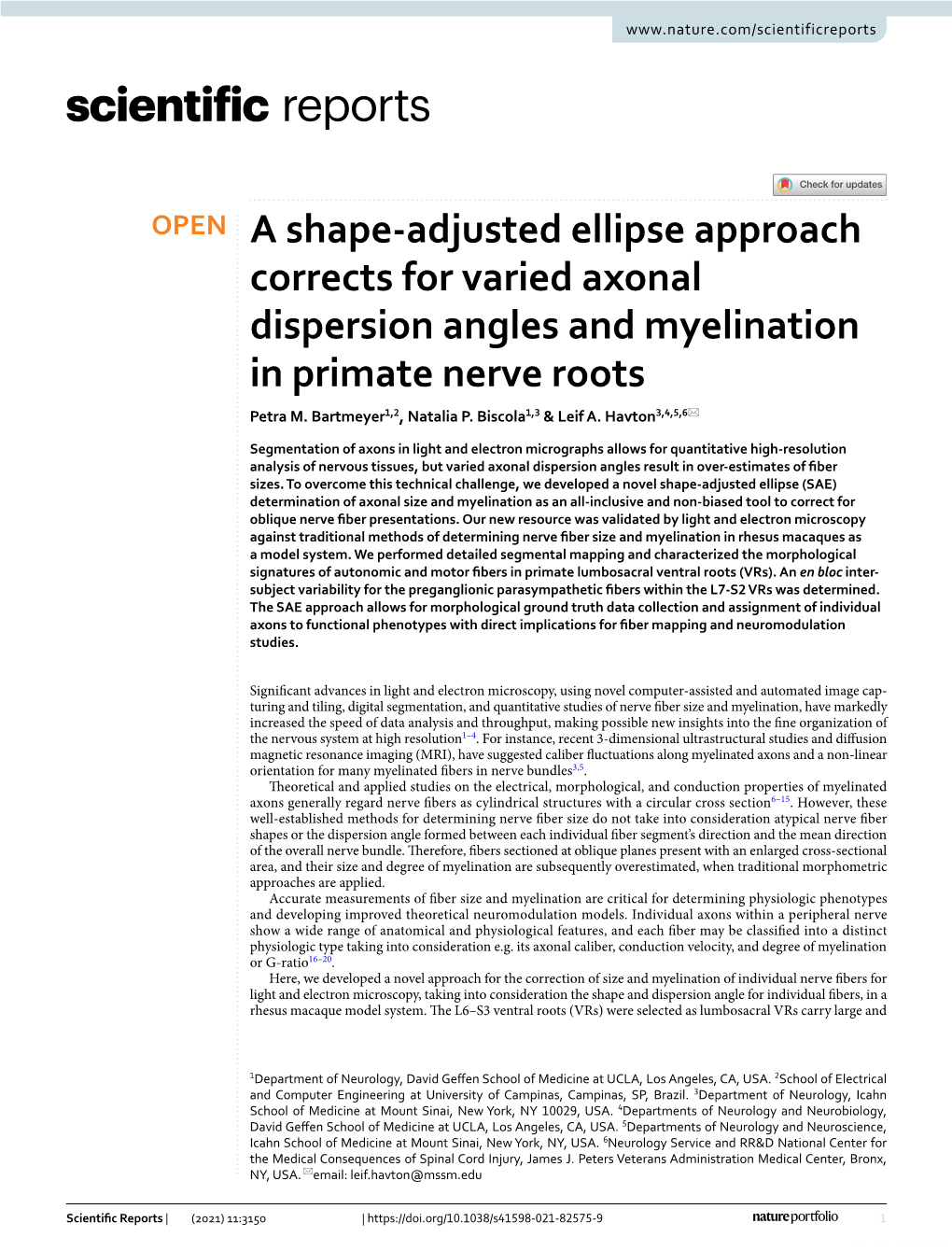 A Shape-Adjusted Ellipse Approach Corrects for Varied Axonal