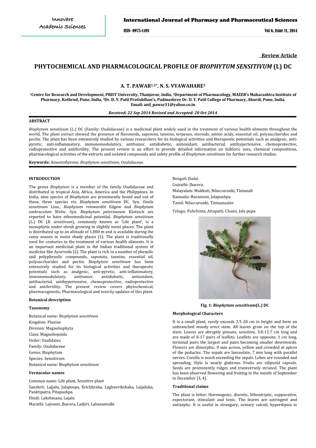 Phytochemical and Pharmacological Profile of Biophytum Sensitivum (L) Dc