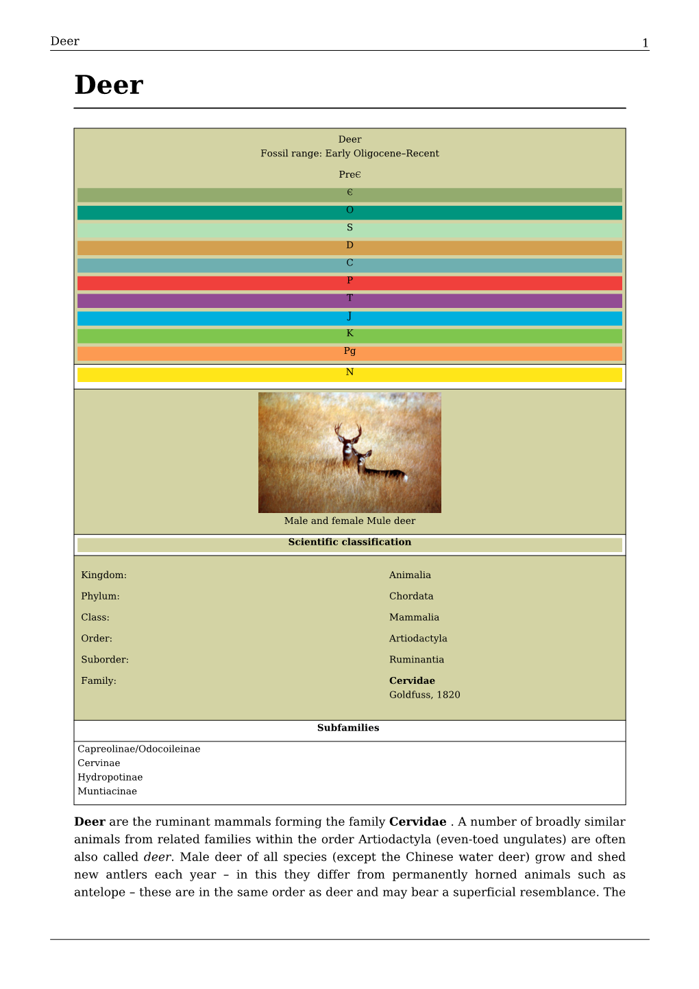 Deer 1 Deer Are the Ruminant Mammals Forming the Family
