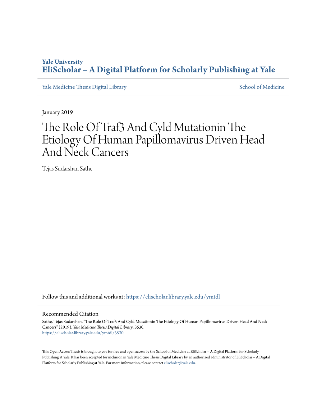 The Role of Traf3 and Cyld Mutationin the Etiology of Human Papillomavirus Driven Head and Neck Cancers Tejas Sudarshan Sathe