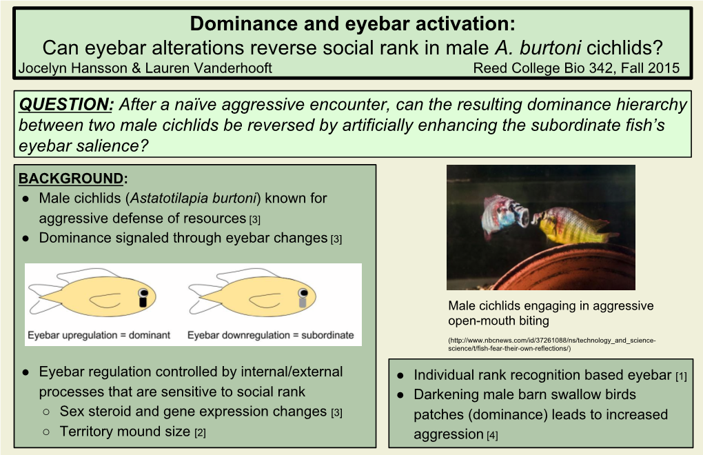 Can Eyebar Alterations Reverse Social Rank in Male A