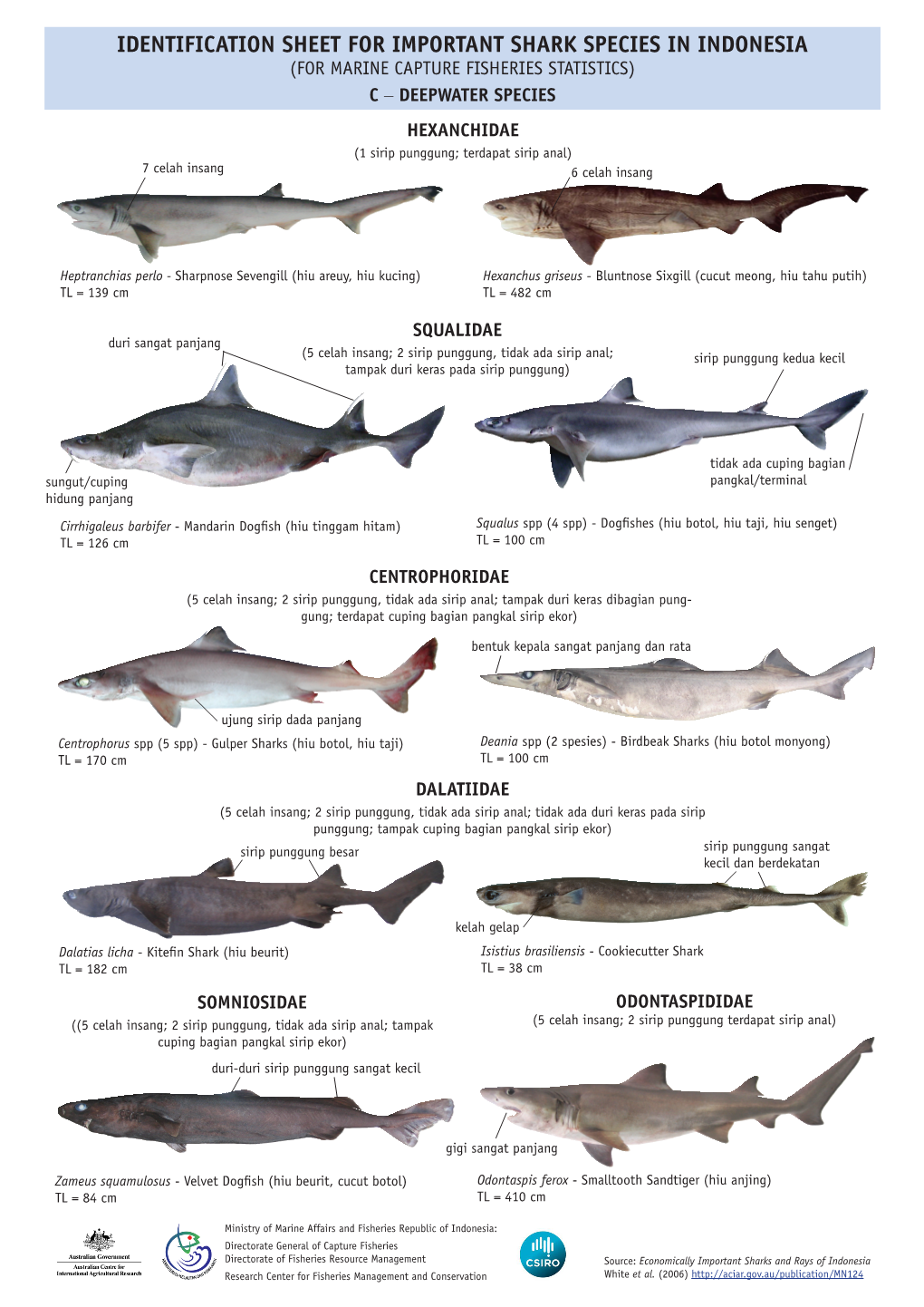 Identification Sheet for Deepwater Sharks