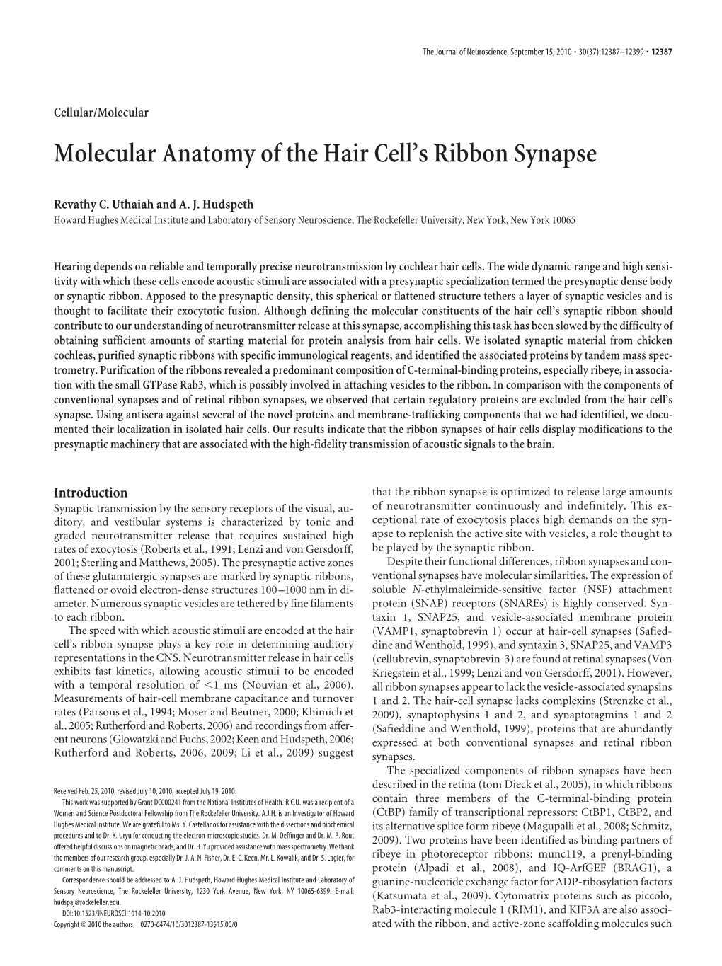 Molecular Anatomy of the Hair Cell's Ribbon Synapse