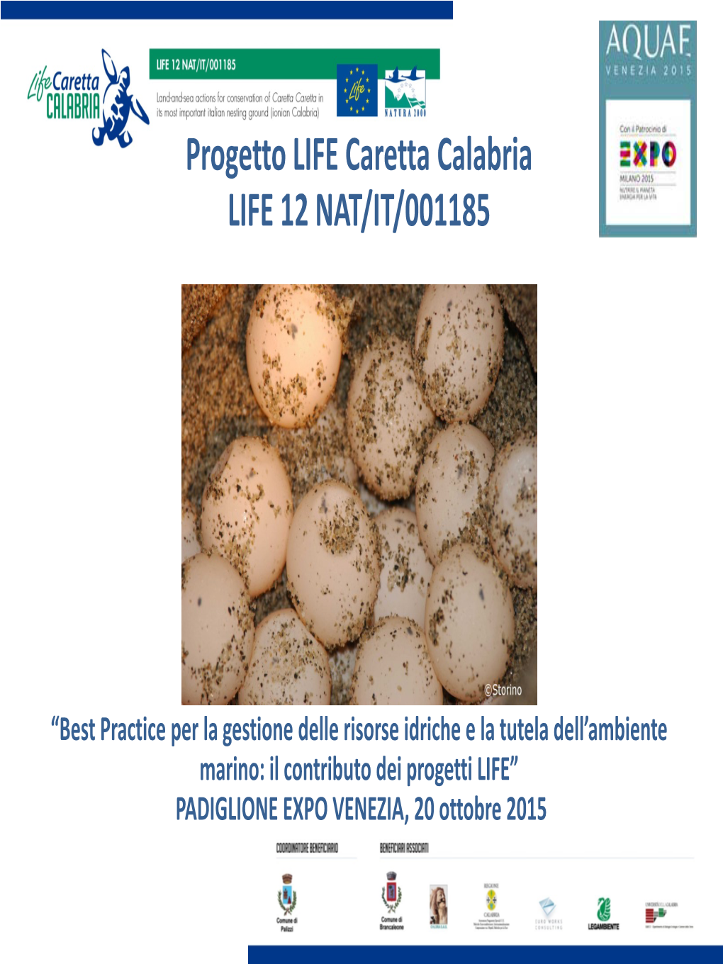 Progetto LIFE Caretta Calabria LIFE 12 NAT/IT/001185