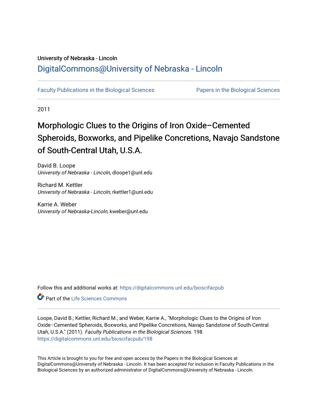 Morphologic Clues to the Origins of Iron Oxideâ•Ficemented Spheroids