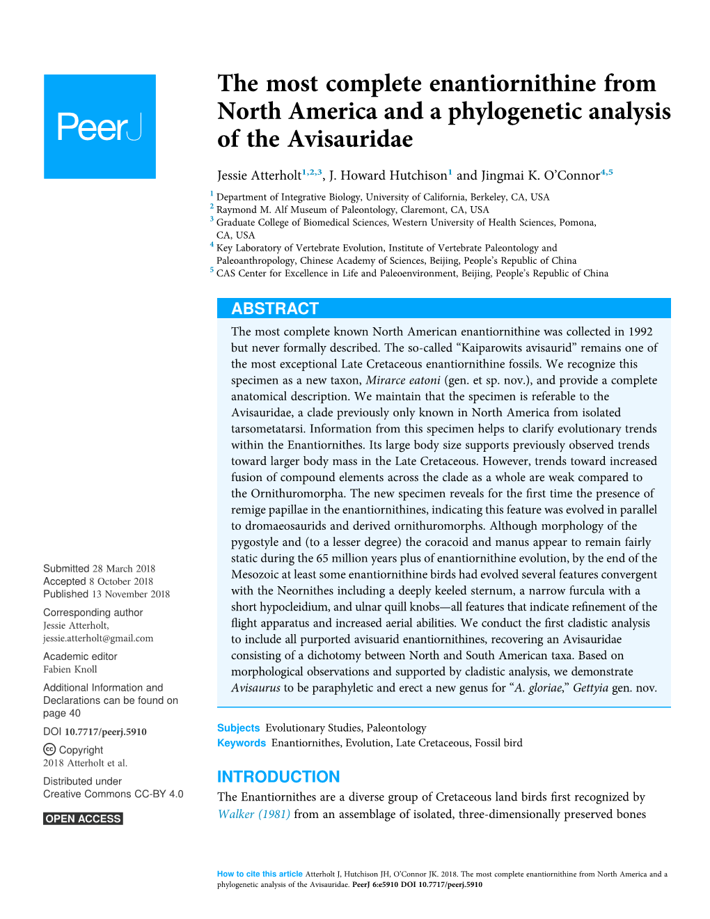 The Most Complete Enantiornithine from North America and a Phylogenetic Analysis of the Avisauridae