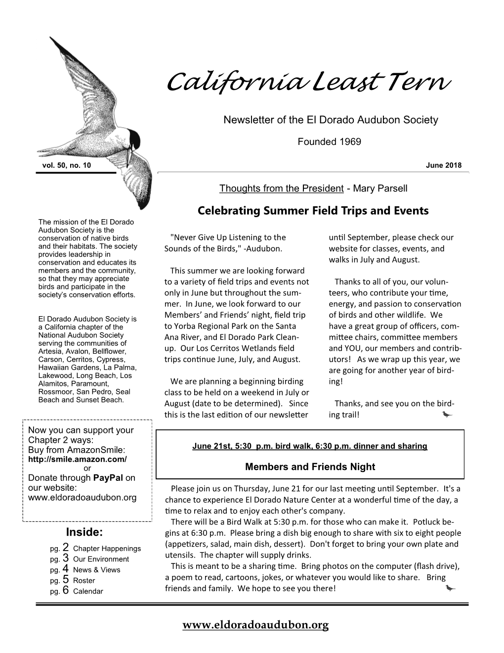 California Least Tern