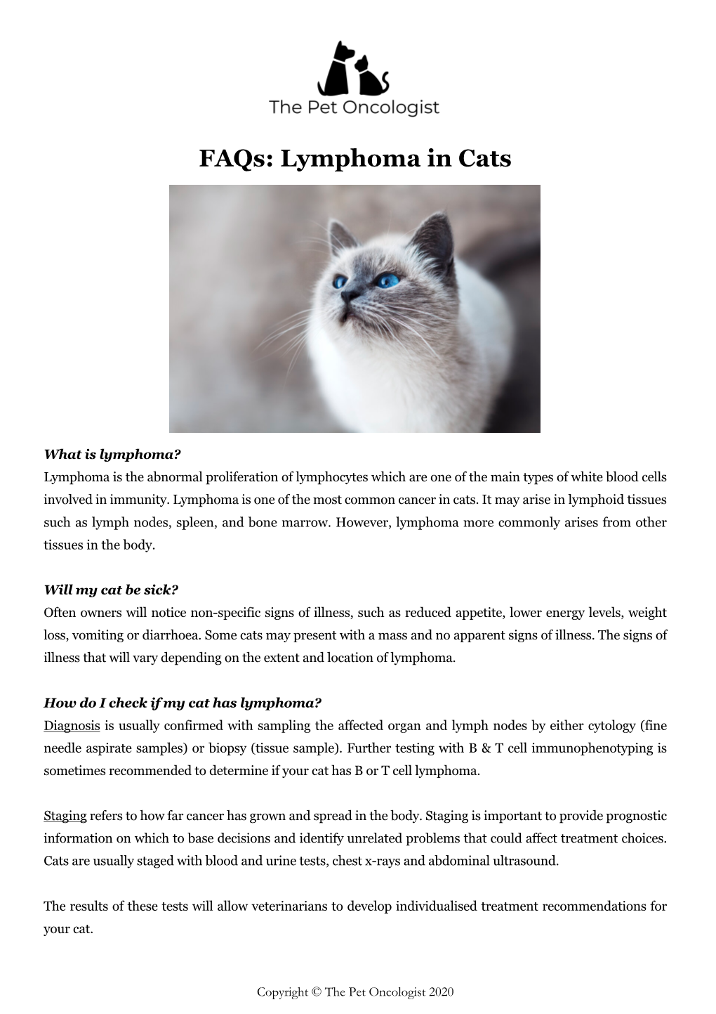 Faqs: Lymphoma in Cats