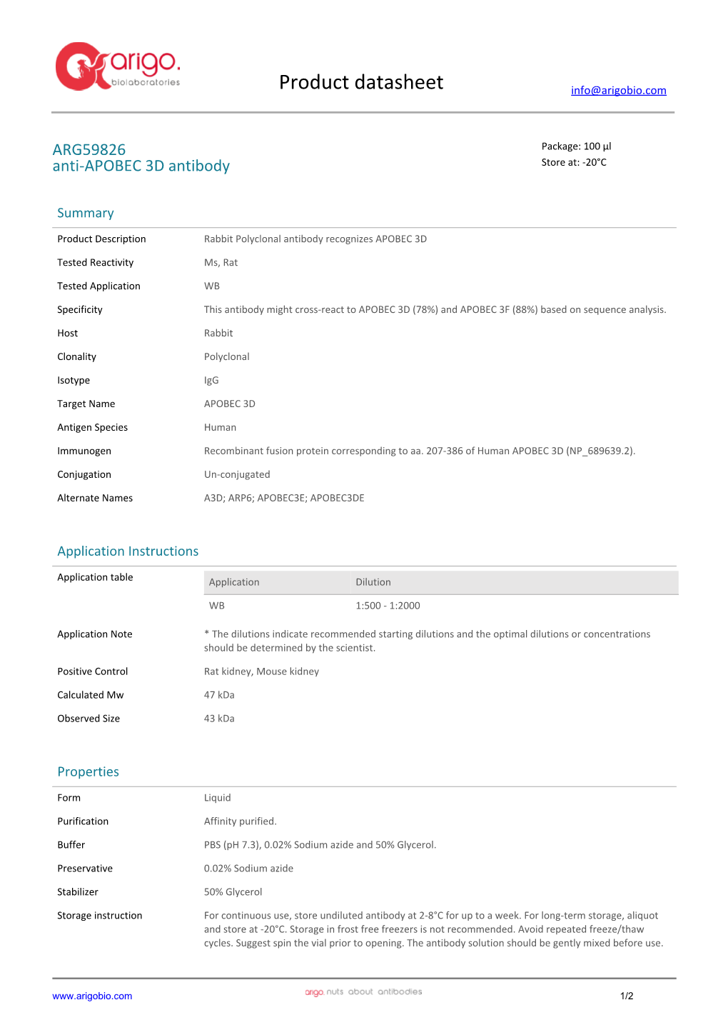 Anti-APOBEC 3D Antibody (ARG59826)