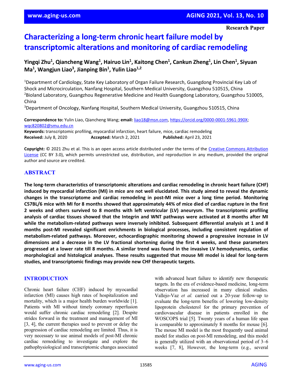Characterizing a Long-Term Chronic Heart Failure Model by Transcriptomic Alterations and Monitoring of Cardiac Remodeling