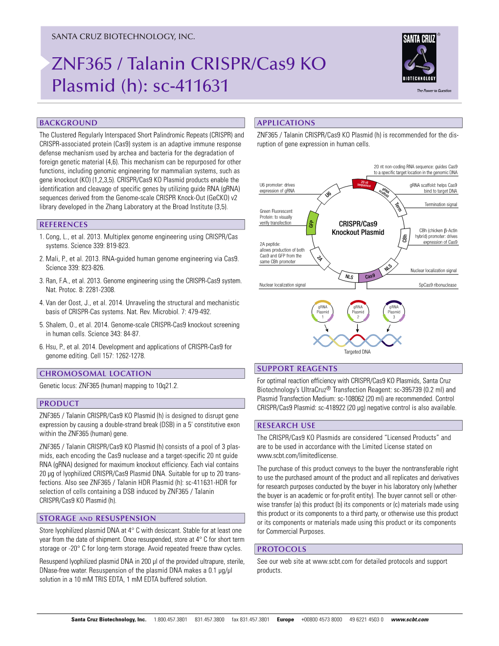 ZNF365 / Talanin CRISPR/Cas9 KO Plasmid (H): Sc-411631