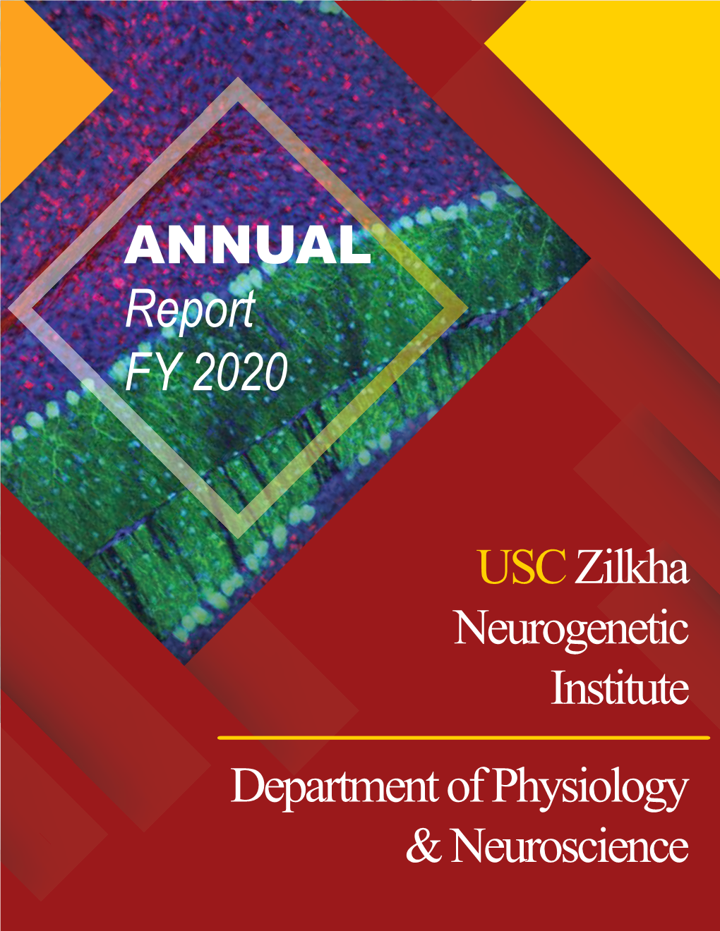 Annual Report 2020