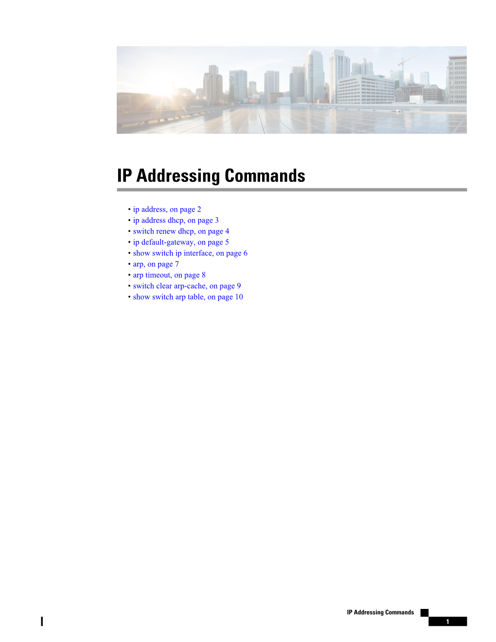 IP Addressing Commands