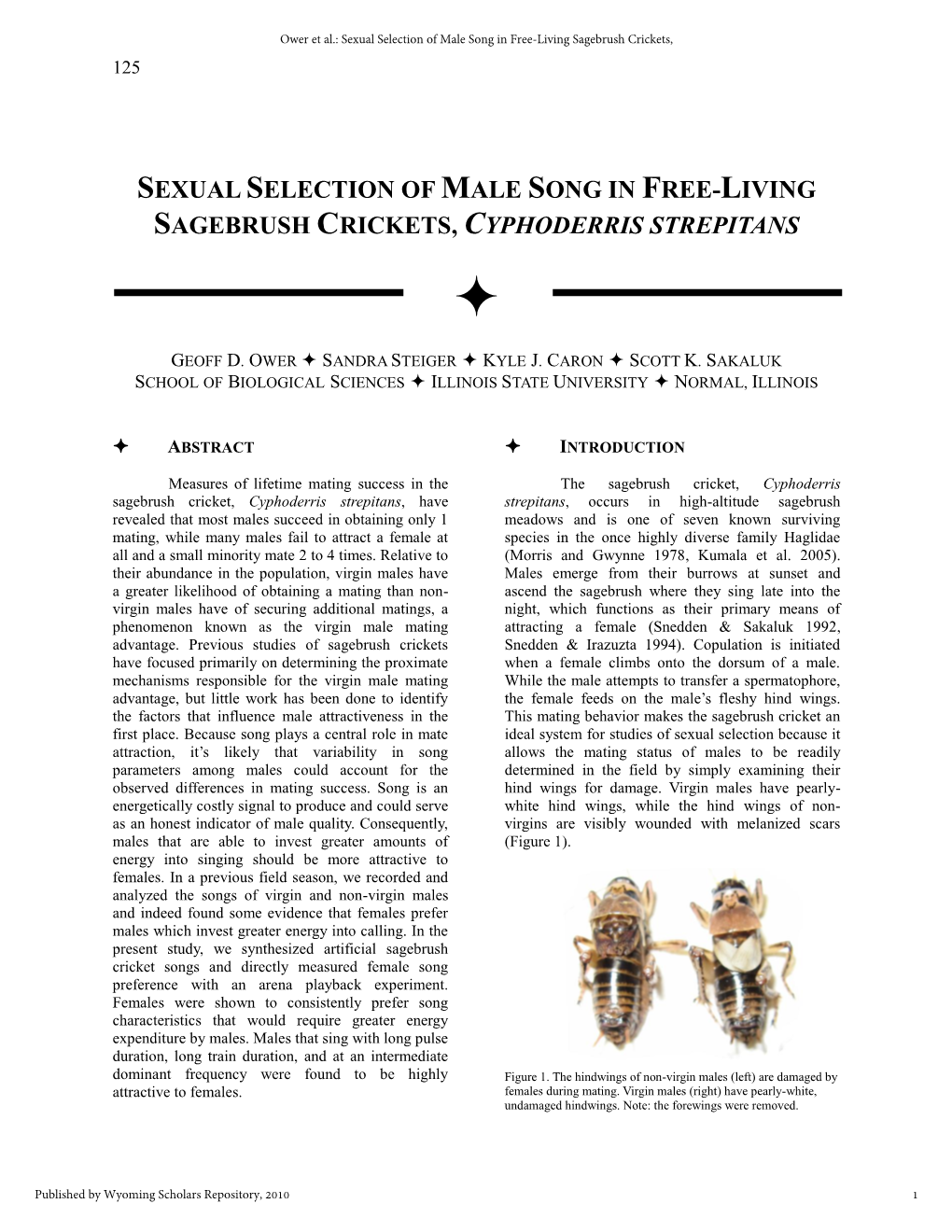 Sexual Selection of Male Song in Free-Living Sagebrush Crickets, Cyphoderris Strepitans