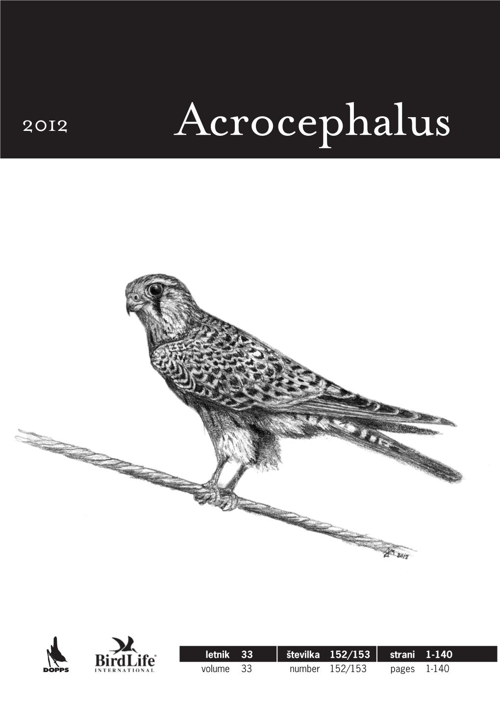 Acrocephalus